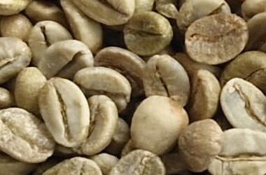 img 20251210 wa0013~2