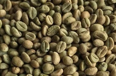 whatsapp image 2025 12 12 at 7.13.46 pm