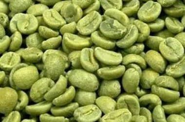 whatsapp image 2025 12 12 at 7.16.19 pm