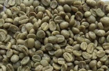 whatsapp image 2025 12 12 at 7.17.44 pm